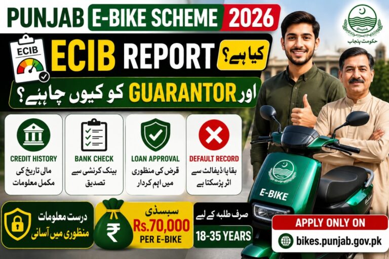 What Is ECIB Report and Why Does Your Guarantor Need It for E-Bike Scheme?