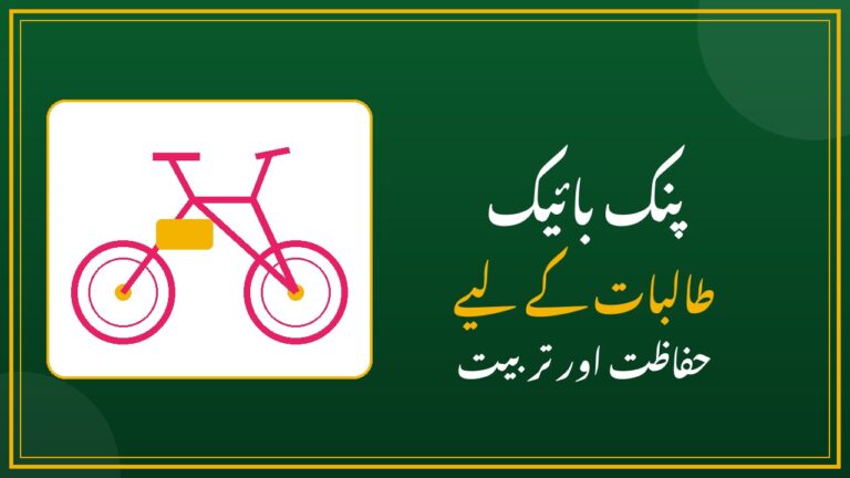 Pink E-Bike for Female Students - Benefits, Safety Training and Helmet Guide